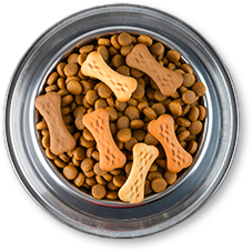 ������ ���� �� ũ��ġ �ͽ�